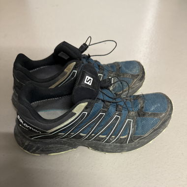 Salomon Trekking Shoes