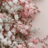 elysa_b2003_