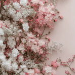 elysa_b2003_