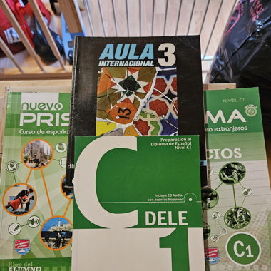 Spanish learning books
