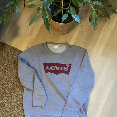 SWEATSHIRT - grey