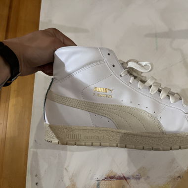 Puma R. Sampson