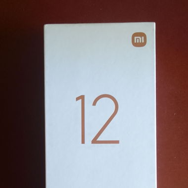 Xiaomi 12X Gray