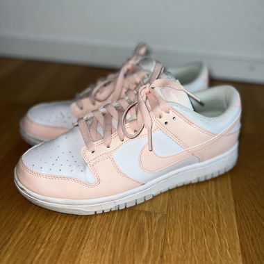 Nike Dunk Low Sneaker