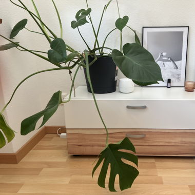 Bedroom Nightstand