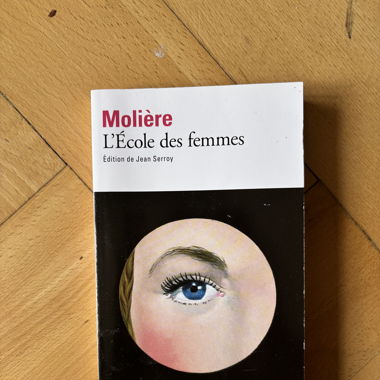 Die Schule der Frauen