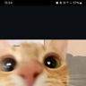 sophiaa08