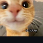 sophiaa08