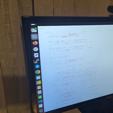 Monitor/ Screen