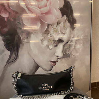 Coach bag
