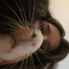 paeoniacheeks