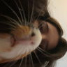 paeoniacheeks