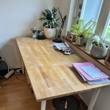 Schreibtisch mit Holzplatte (IKEA)