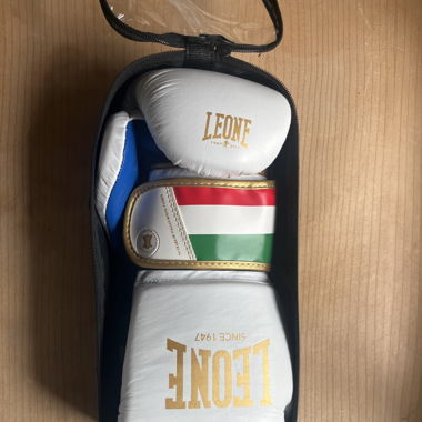Leone boxing gloves