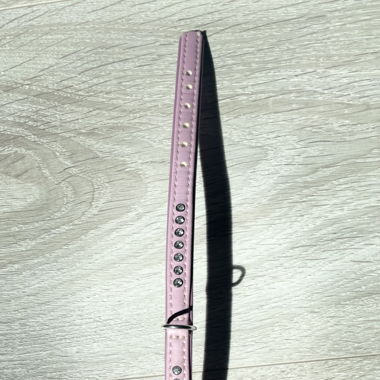 Collier pour chien 