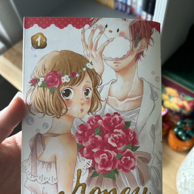 Manga honey tome 1