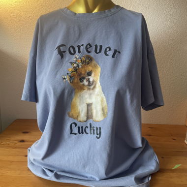 T-shirt bleu forever lucky 