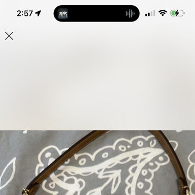 Coach bag