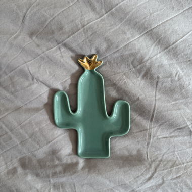 Cactus jewellery holder