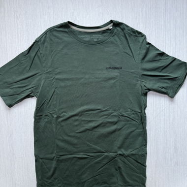 Patagonia T-Shirt grün