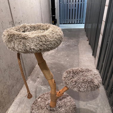Cat Tree Like New