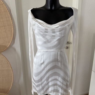 Dress Rat & Boa 
