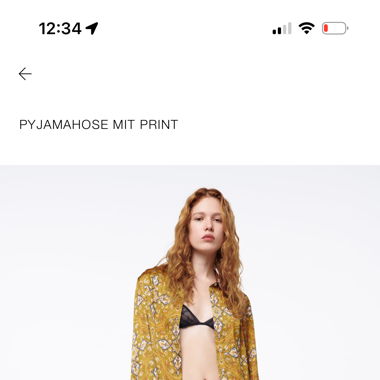 Zara satin set (shirt and dress)
