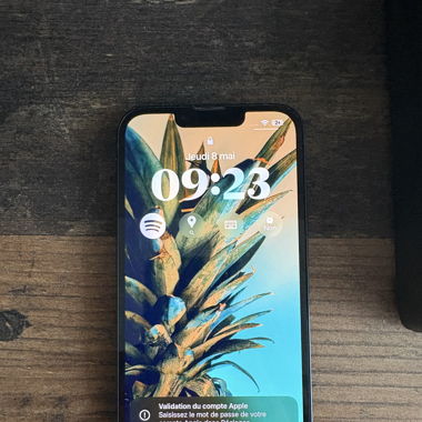 iPhone 13 