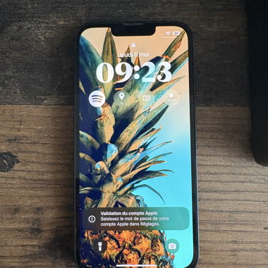 iPhone 13 