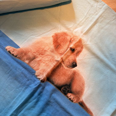Biancheria da Letto Cucciolo di Golden Retriever