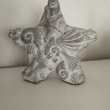 Étoile de mer décorative