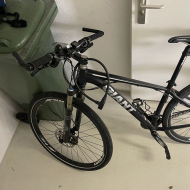 Giant XTC 29