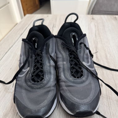 Nike Sportswear Air Max 2090