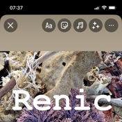 renicsells
