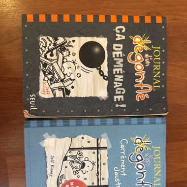 Journal d’un dégonflé 