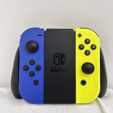 Nintendo Switch Joy-Con Set