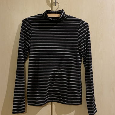Striped Turtle Neck