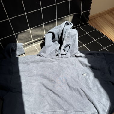 Champion Pulli