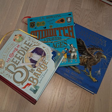 Set di 3 libri illustrati (Harry Potter)
