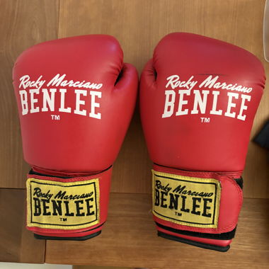 Boxhandschuhe Ben Lee in Rot in Size 10