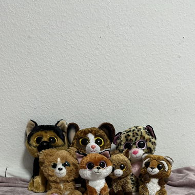 Beanie Boos Kuscheltiere
