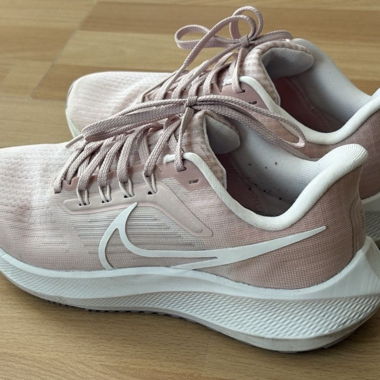 Nike Air Zoom Pegasus 39