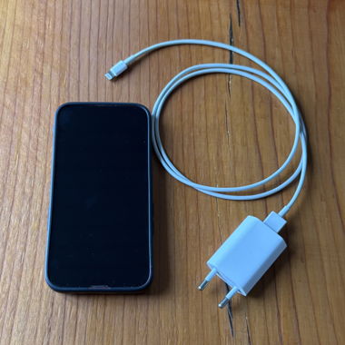 Apple 13