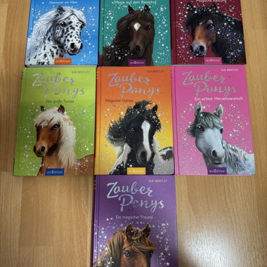 Zauber Ponys Bucher Set