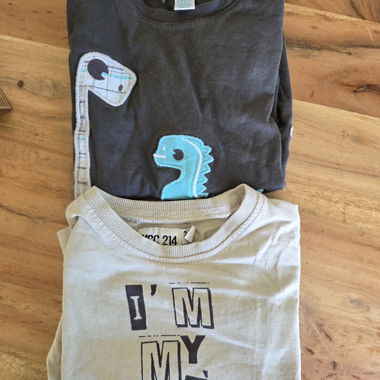 Lot tee-shirt pantalon bébé 23 mois