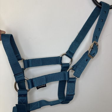 Licol pour cheval bleu