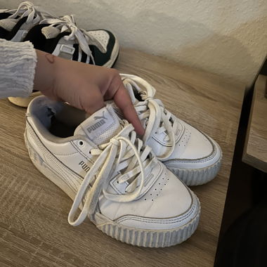 Puma 