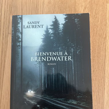 Livre Sandy Laurent