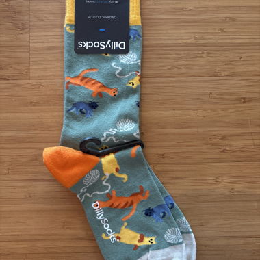 DillySocks Socks 36-40