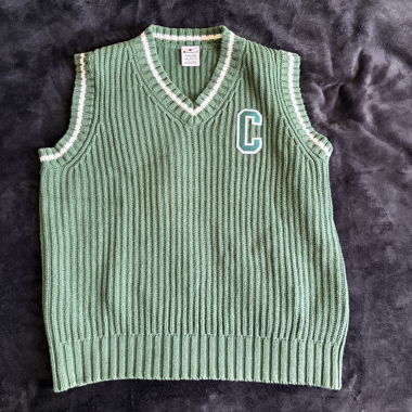 Champion sweater